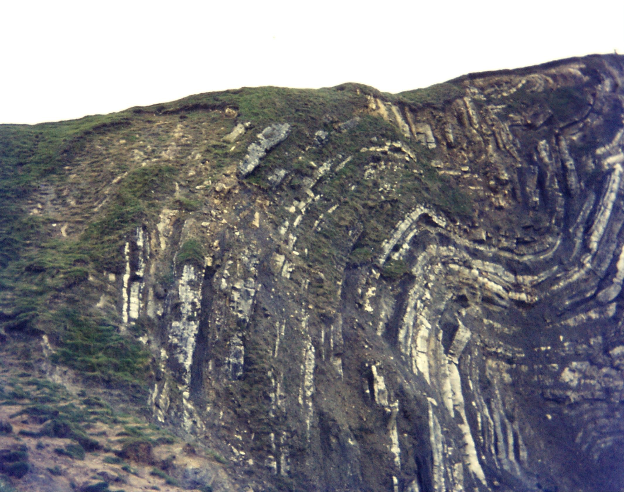 1972. Dorset1. Lulworth. Stair Hole. Folded Purbeck Gp limestones