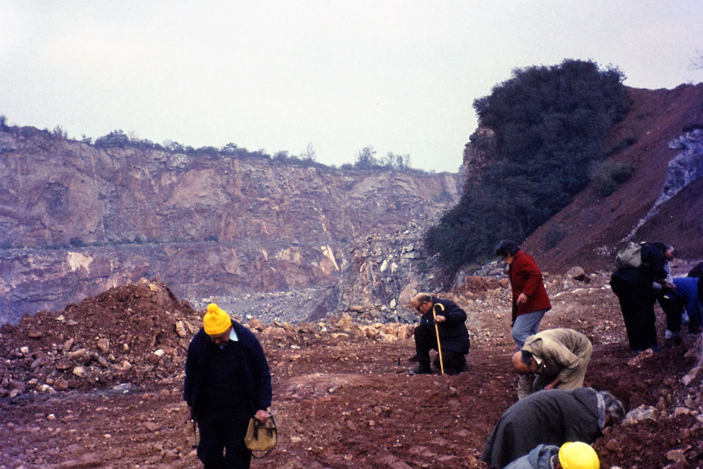 1973.10 Mendips. Dulcote Quarry