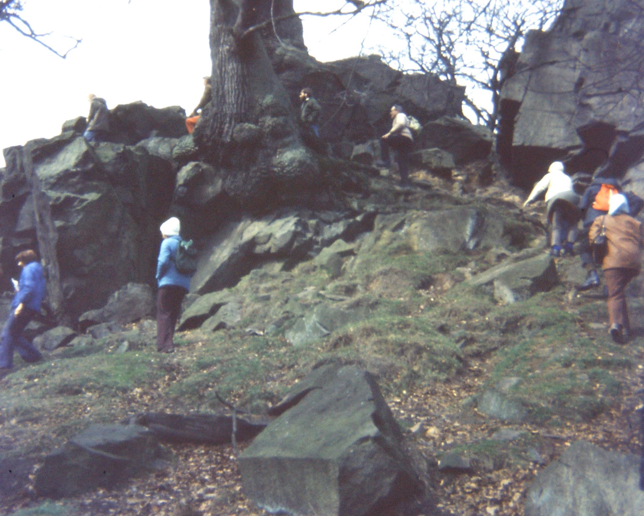 1976.04.03 Charnwood Forest13. Bradgate Pk. S. Charnwood Diorite