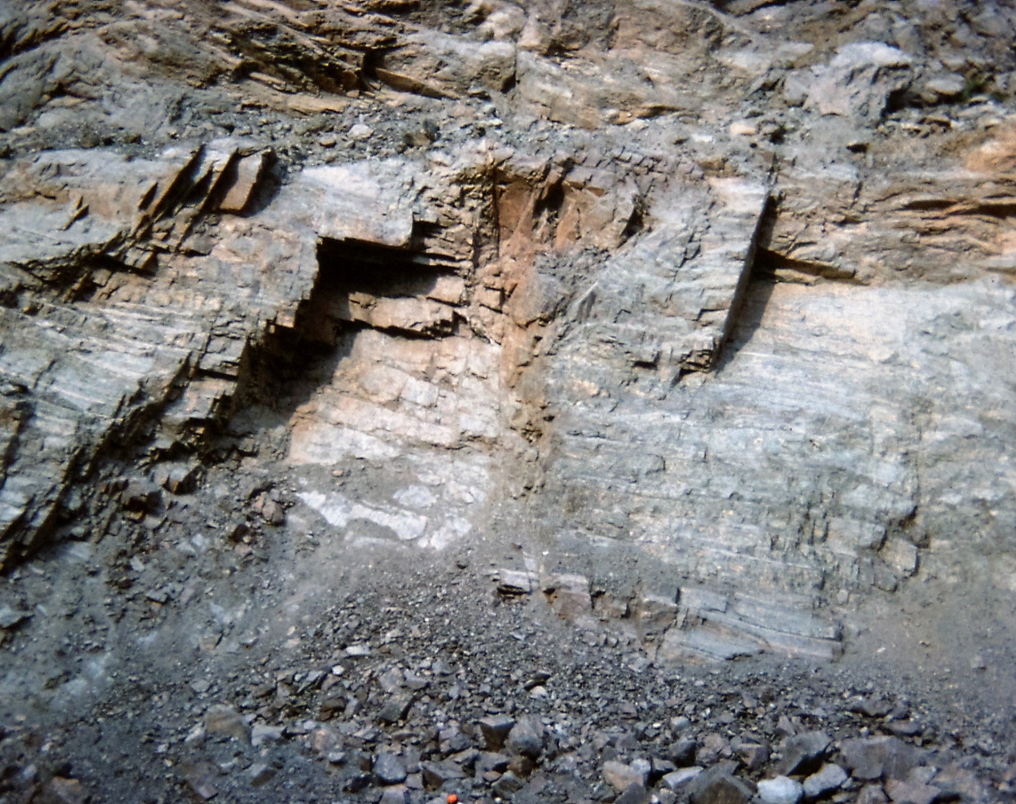 1976.09 Charnwood Forest. Newhurst Quarry. North Charnwood Diorites