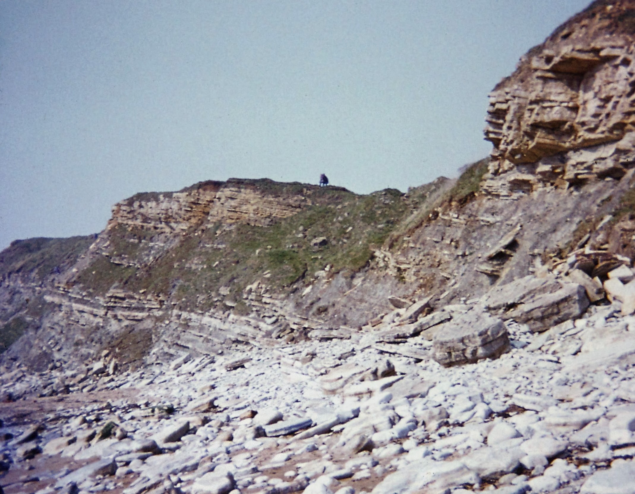 1979 Durlston Bay, Swanage (Purbeck Group)