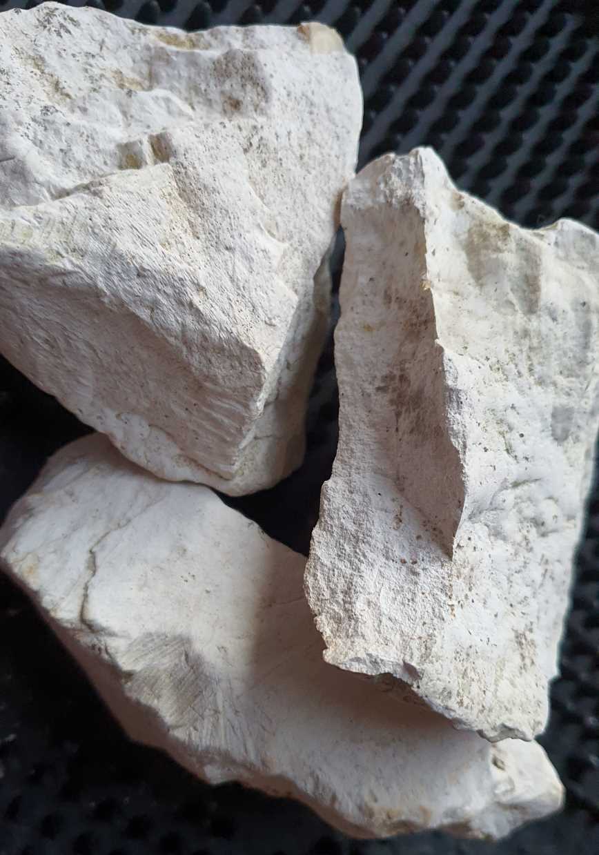 Chalk from Harefield Pit