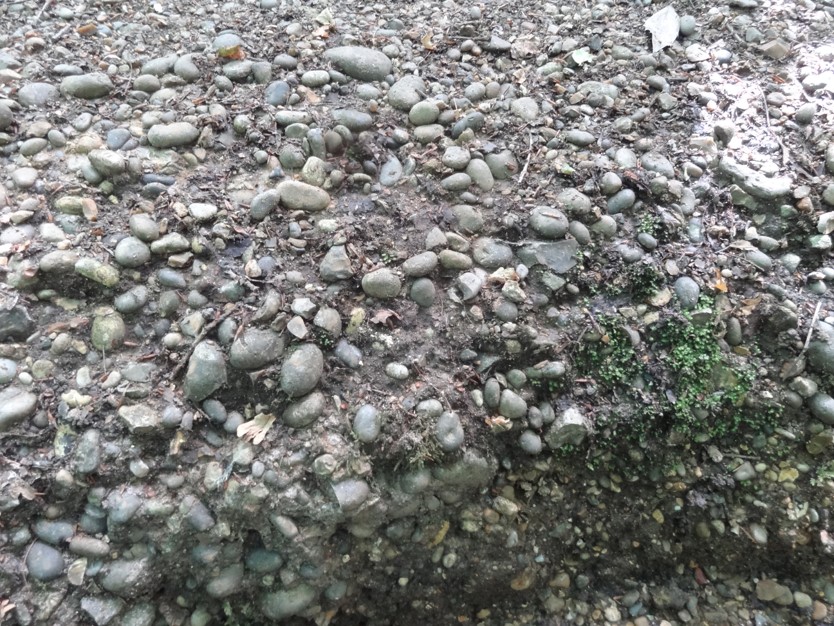 similar pebbles cap many local hills