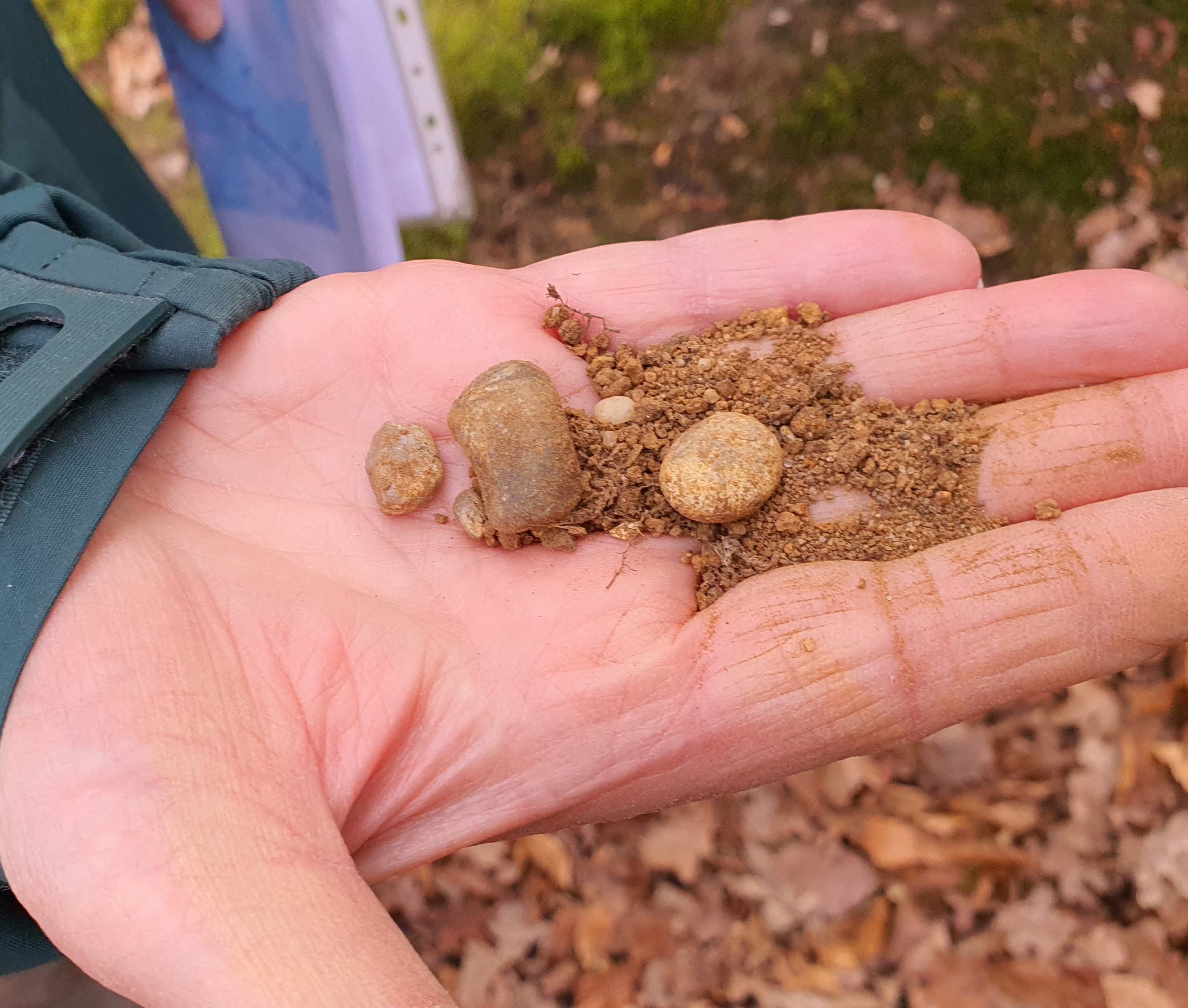 pebbles and sandy matrix from tree root outside SSSI
