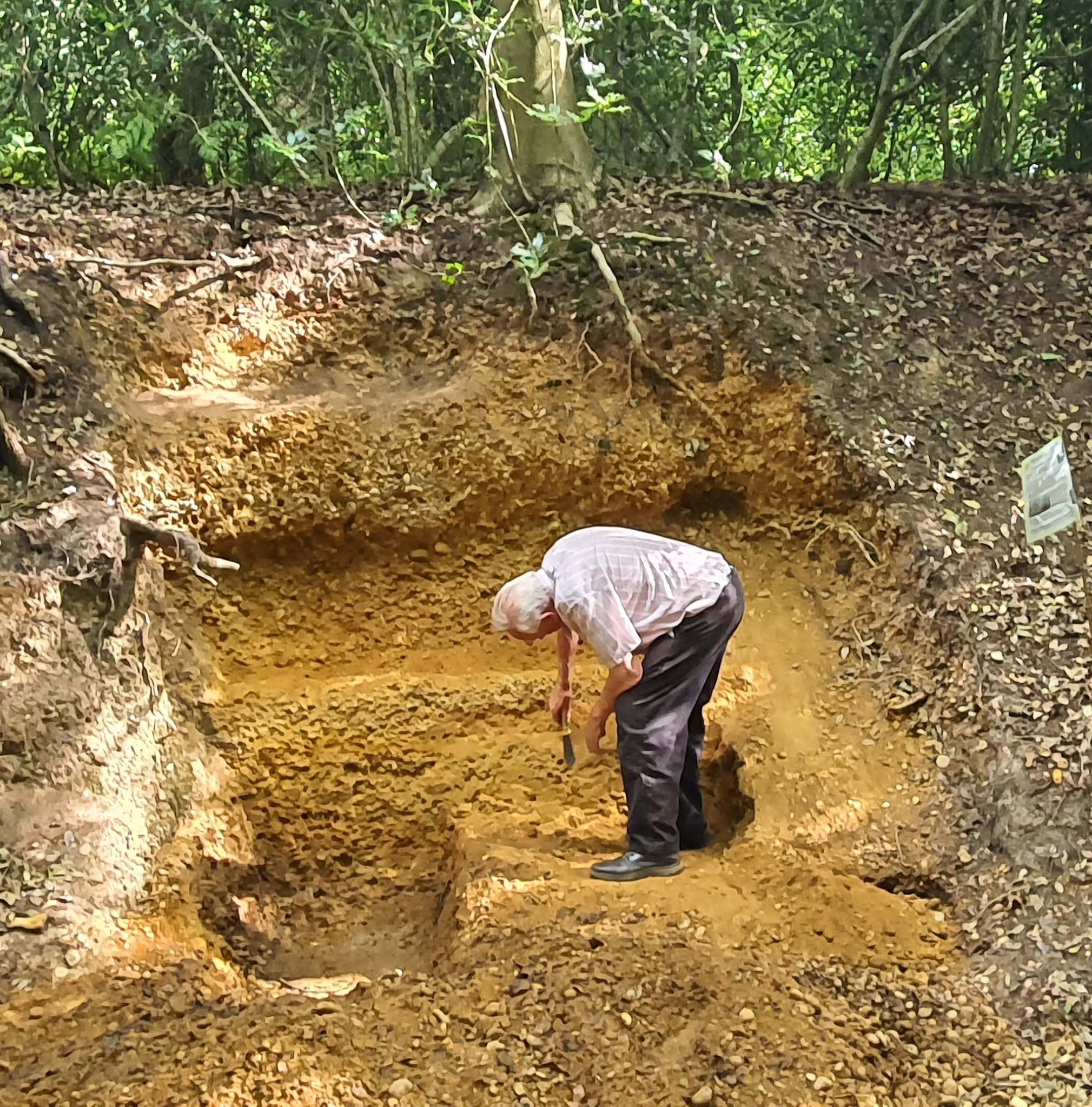 rounded pebbles of Stanmore Gravel Formation
